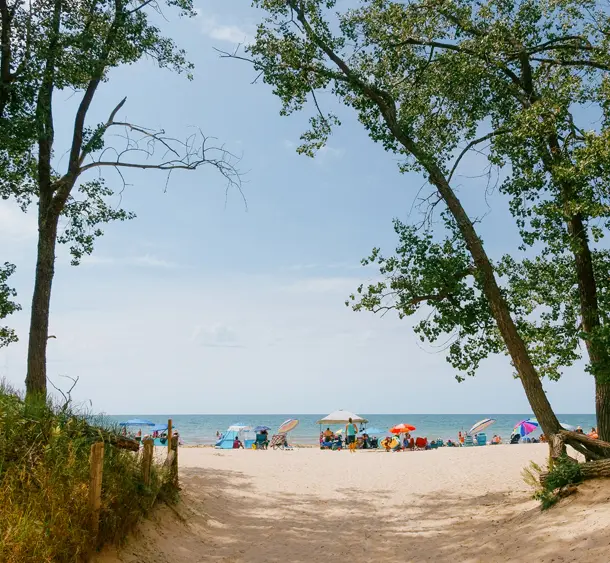 Un sentier de plage de sable entouré de grands arbres menant à une rive de lac animée, parsemée de parasols colorés, sous un ciel clair.