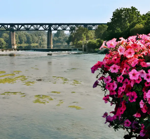 Eisenbahnbrücke über den Grand River in Paris, Ontario, mit blühenden rosa Blumen im Vordergrund und einem sanften Wasserfall in der Ferne.