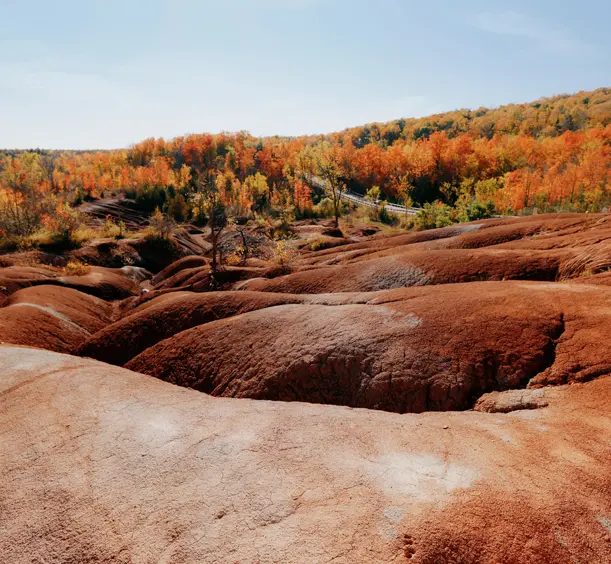 Les collines de terre rouge ondulantes des Badlands de Cheltenham, à Caledon, en Ontario, et un feuillage automnal coloré par une journée ensoleillée.