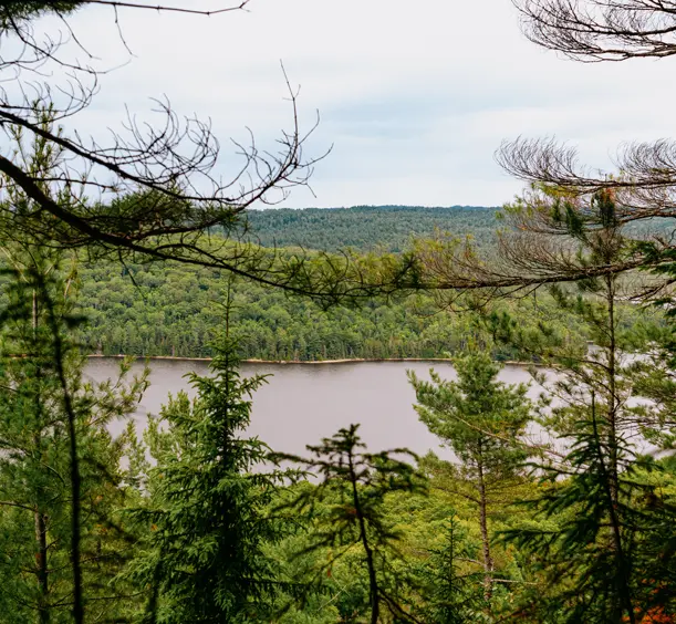 Blick durch dichte Kiefern auf den Helenbar Lake im Mississagi Provincial Park mit bewaldeten Hügeln unter einem bewölkten Himmel.