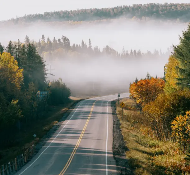 Kurvenreiche Straße durch einen nebligen Wald in Algoma Country, umgeben von frühherbstlichem Laub und sanftem Morgenlicht.