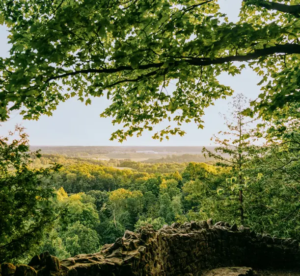 Ein malerischer Aussichtspunkt aus Stein, umgeben von Bäumen in Halton Hills, mit Blick auf das bewaldete Tal darunter.