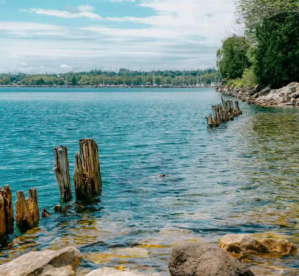 Old wooden dock posts emerging from the clear, shallow waters of Georgian Bay at Spirit Rock Conservation Area, Wiarton, on a sunny summer day.