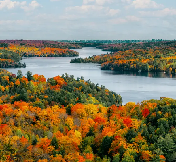 Looking over the Gatineau Hills and Rideau River near Ottawa, bursting with vibrant fall colours and forest-lined shores under a cloudy sky.