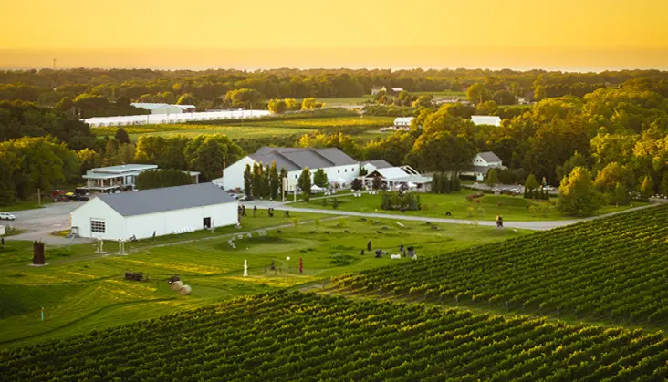Das malerische Anwesen der 13th Street Winery mit gepflegten Rasenflächen liegt gegenüber von Reihen von Weinbergen.