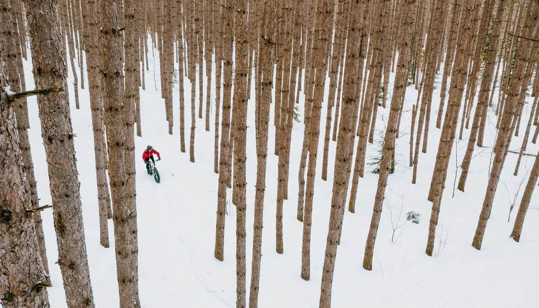 Una persona andando en bicicleta gorda por el bosque nevado en Hiawatha Highlands.