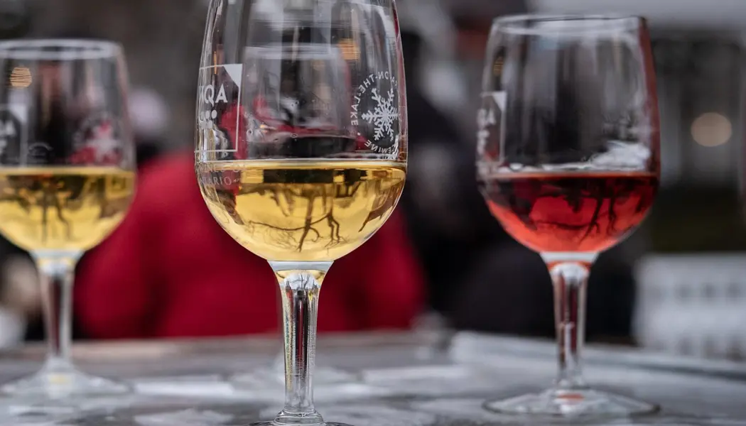 Three glasses of Icewine on a frozen bar during the Niagara Icewine Festival.
