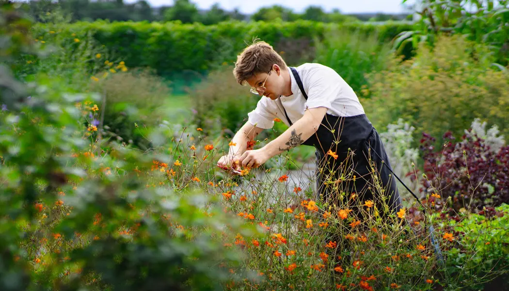 A person wearing a black apron holds a shallow tray filled with freshly picked herbs and colourful flowers, standing in a lush green garden with plants and foliage in the background.