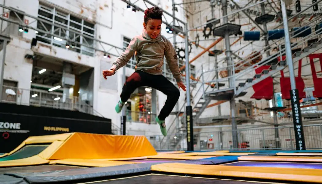 おもちゃのアライグマを観察する少女