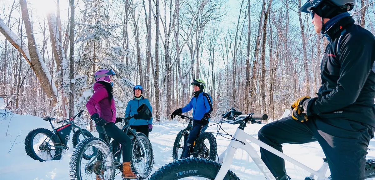 Eine Gruppe von Menschen fährt mit Fatbikes durch einen verschneiten Waldweg.