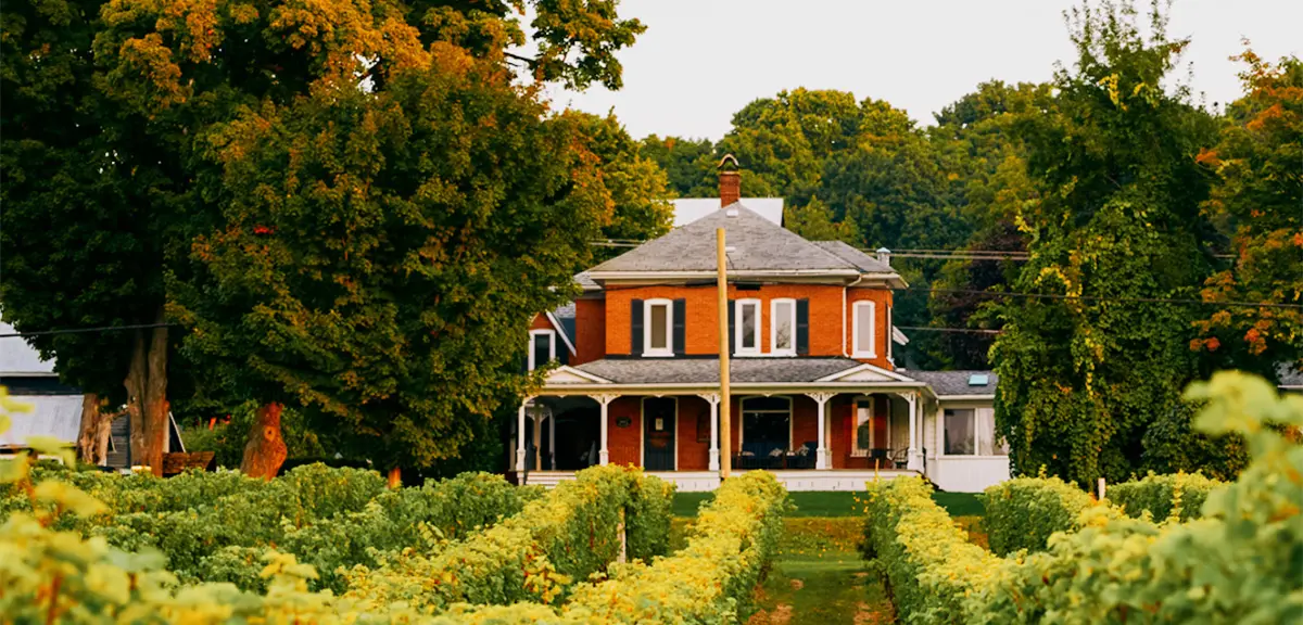 Large historic farmhouse surrounded by vineyards and greenery.