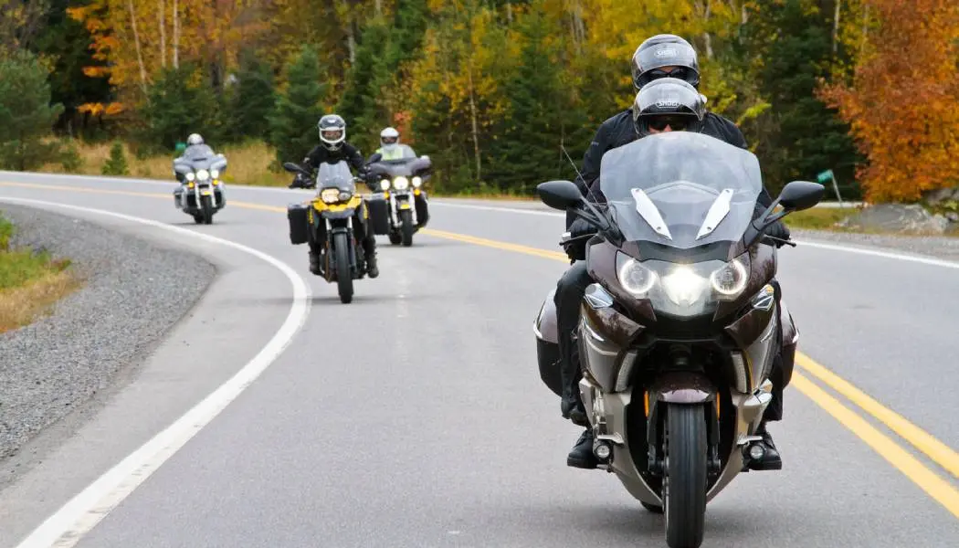 A group of four motorcyclists rides a paved road winding past forests in bright fall colour in Muskoka.