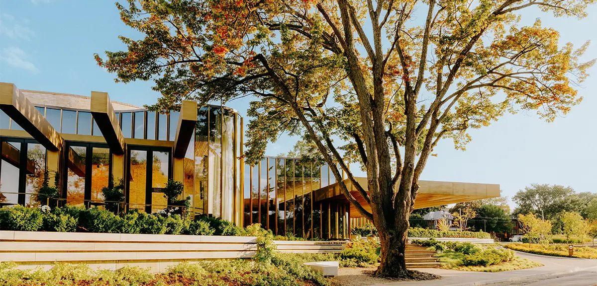 Théâtre contemporain à façade en verre, près d’un grand arbre à feuilles.