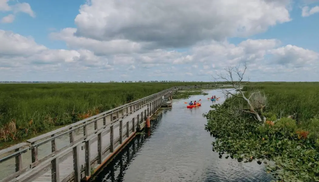 Des kayakistes pagayent sur un étroit cours d'eau longeant une promenade en bois dans le parc national de la Pointe-Pelée.