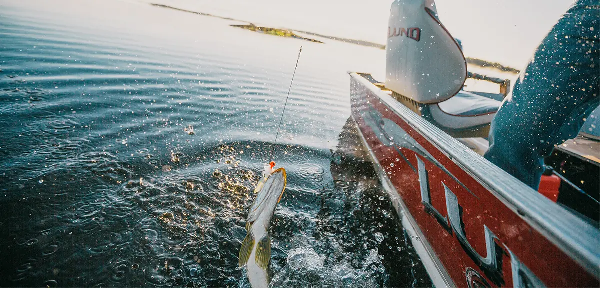 작은 보트 옆에서 낚싯줄에 걸린 물고기가 수면 위로 튀어 오르고 있다.
