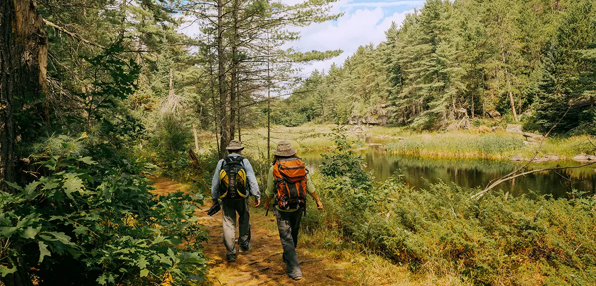 Deux randonneurs avec des sacs à dos marchant sur un sentier forestier le long d’une rivière calme entourée de pins dans le parc provincial Algonquin.