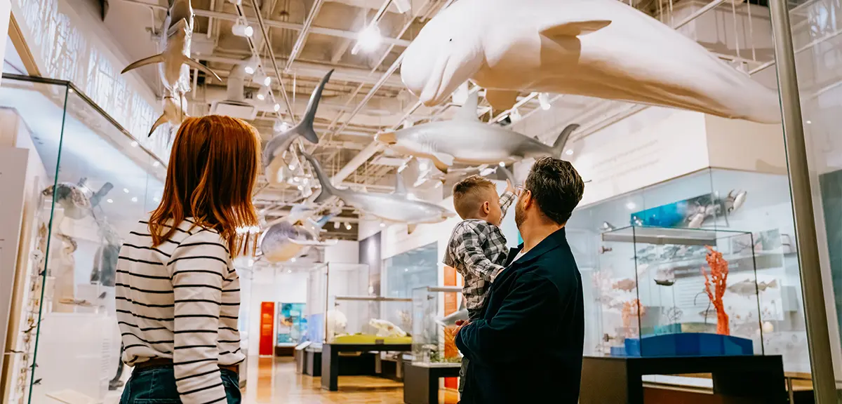 Una familia explora la galería de la vida marina con modelos suspendidos de ballenas y animales marinos en el Museo Real de Ontario en Toronto.