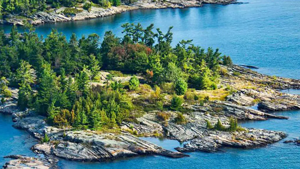 Forêt verte et riche sur les îles rocheuses et le rivage de la baie Georgienne.