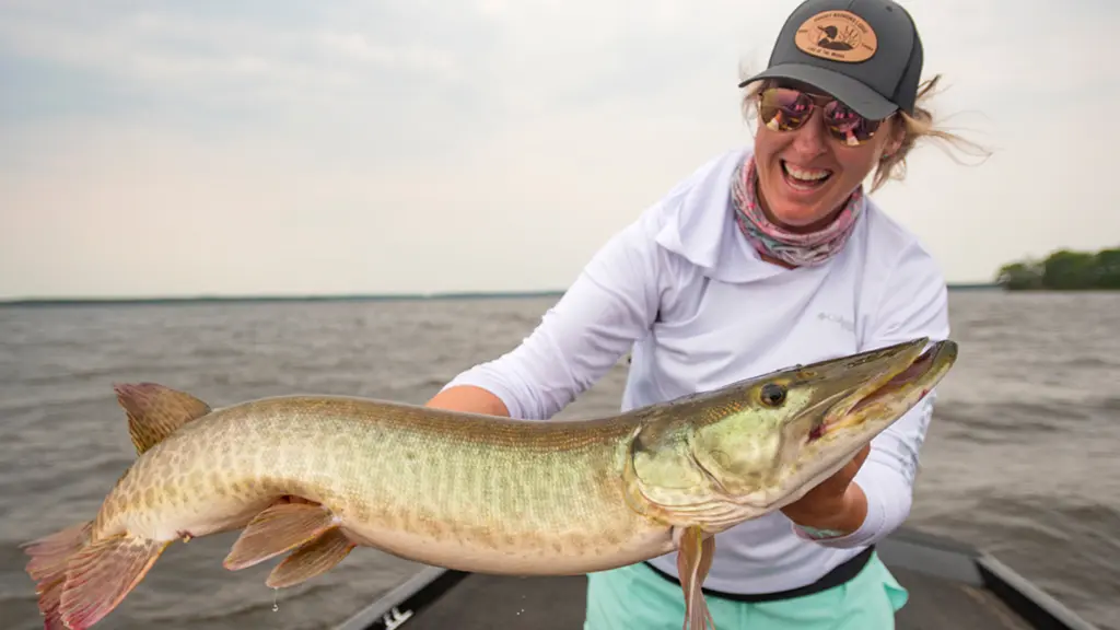 A woman holds up a large muskie on a fishing trip from Grassy Narrows Lodge.