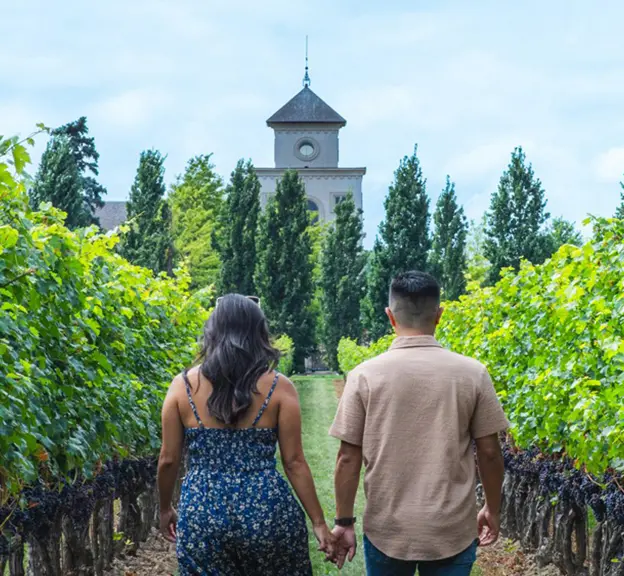 Ein Paar geht durch einen Weinberg des Weinguts Two Sisters in Niagara-on-the-Lake.