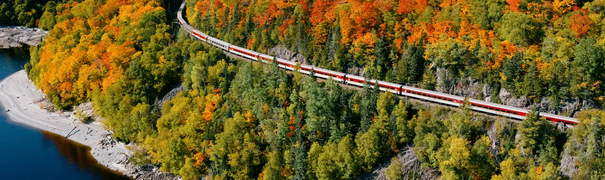 Der Agawa Canyon Tour Train schlängelt sich durch das Herbstlaub entlang eines Flusses und bewaldeter Klippen in Sault Ste. Marie.