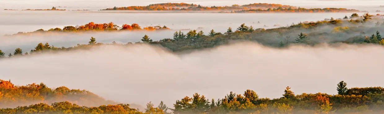 가을철 알곤퀸 주립공원의 숲이 우거진 언덕에 아침 안개가 끼고, 그 사이로 다채로운 나무들이 솟아 보입니다.
