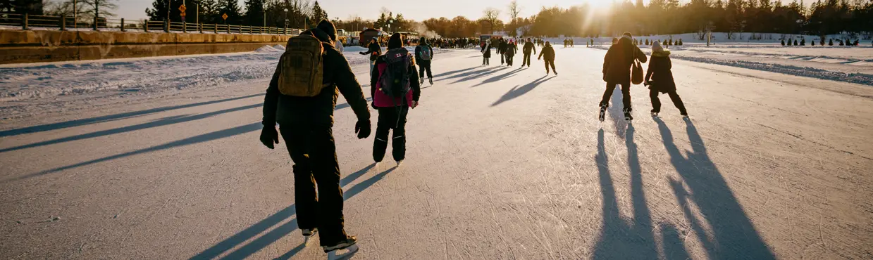  오타와의 다우 호수에서 스케이트를 타는 사람들. 멀리서 태양이 상록수 속으로 기울어가고, 얼어붙은 표면에 긴 그림자가 드리워지고 있습니다.