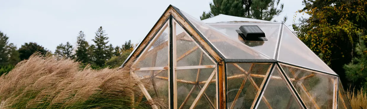 オンタリオ州ワンダー・ザ・リゾートにある、背の高い草に囲まれた木製のフレームと透明パネルを備えたドーム型の温室。