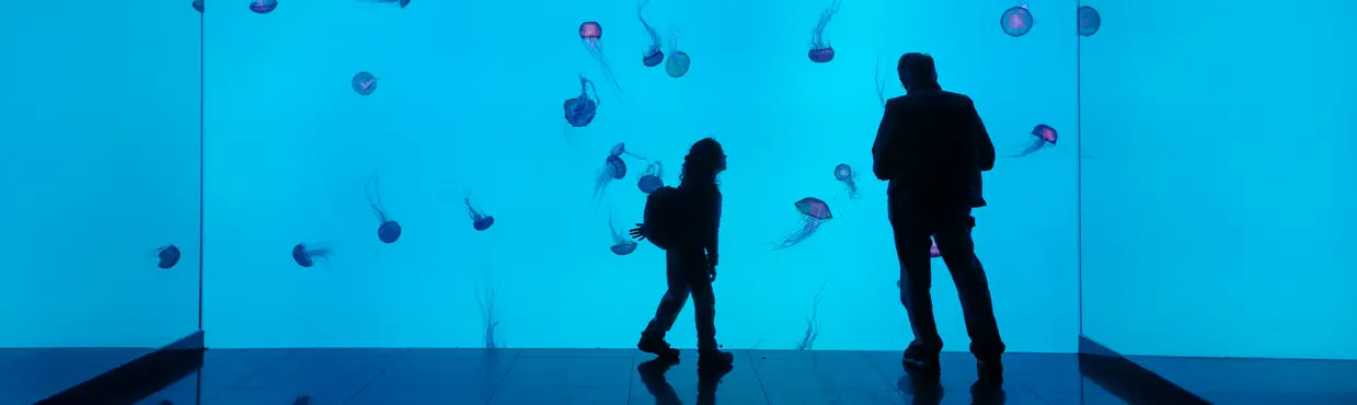 Silhouettes of a child and adult admiring glowing jellyfish in the wall-to-wall vibrant blue jellyfish tank at Ripley's Aquarium of Canada in Toronto.