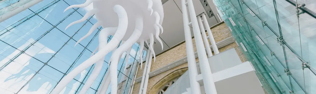  Gran escultura de medusa blanca suspendida en el atrio de cristal del Museo Canadiense de la Naturaleza en Ottawa, con reflejos en las ventanas.