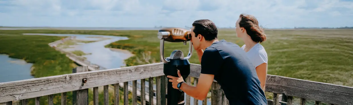 Ein Paar auf einer Aussichtsplattform im Point Pelee National Park. Einer benutzt ein Fernglas, der andere bewundert an einem sonnigen Tag das Marschland und den Holzsteg.