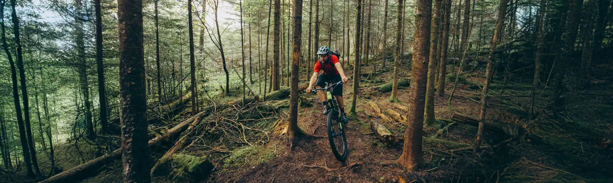 Ein Mountainbiker fährt auf einem schroffen Waldweg in Kenora, Ontario, umgeben von Bäumen und moosbedecktem Boden.