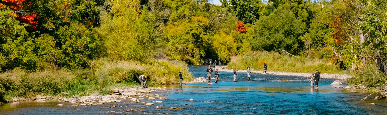 Während der Lachssaison waten Fischer in den Credit River, umgeben von leuchtendem Herbstlaub in Mississauga, Ontario.