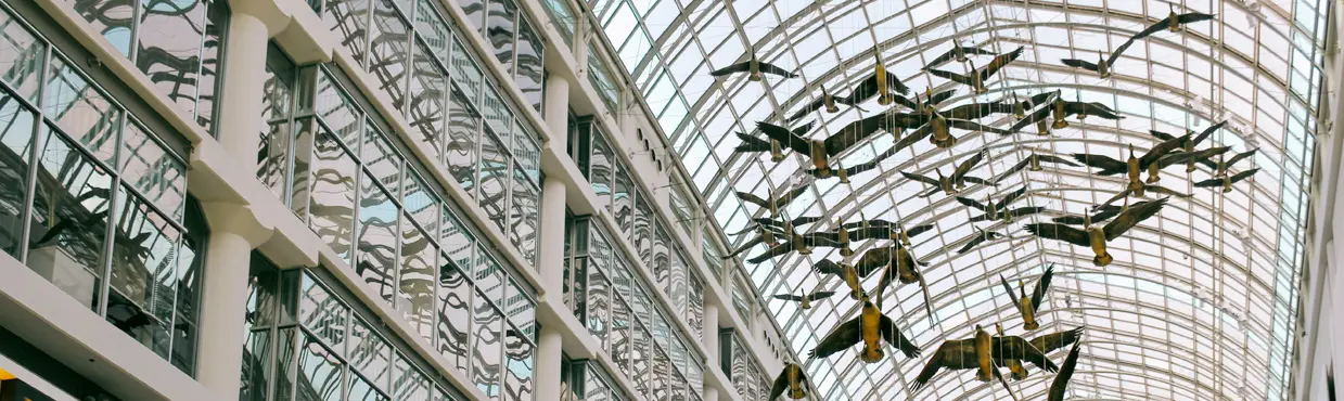Gewölbte Glasdecke im Inneren des Toronto Eaton Centre mit hängenden fliegenden Bronzevögeln und sichtbaren Schaufenstern im obersten Stockwerk.