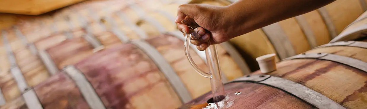 온타리오주 남서부에 위치한 버닝 킬른 와이너리에서 와인 도둑을 이용해 통에서 레드 와인을 샘플링하는 모습. 배경에는 더 많은 통들이 보인다.