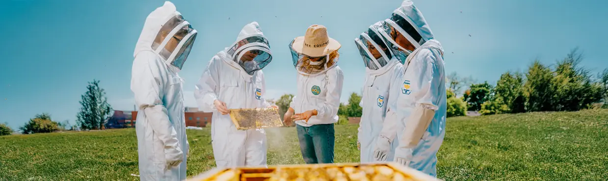 Eine Gruppe von Menschen in Imkeranzügen beobachtet Bienenstöcke im Freien an einem sonnigen Tag bei Lolas Bienen.