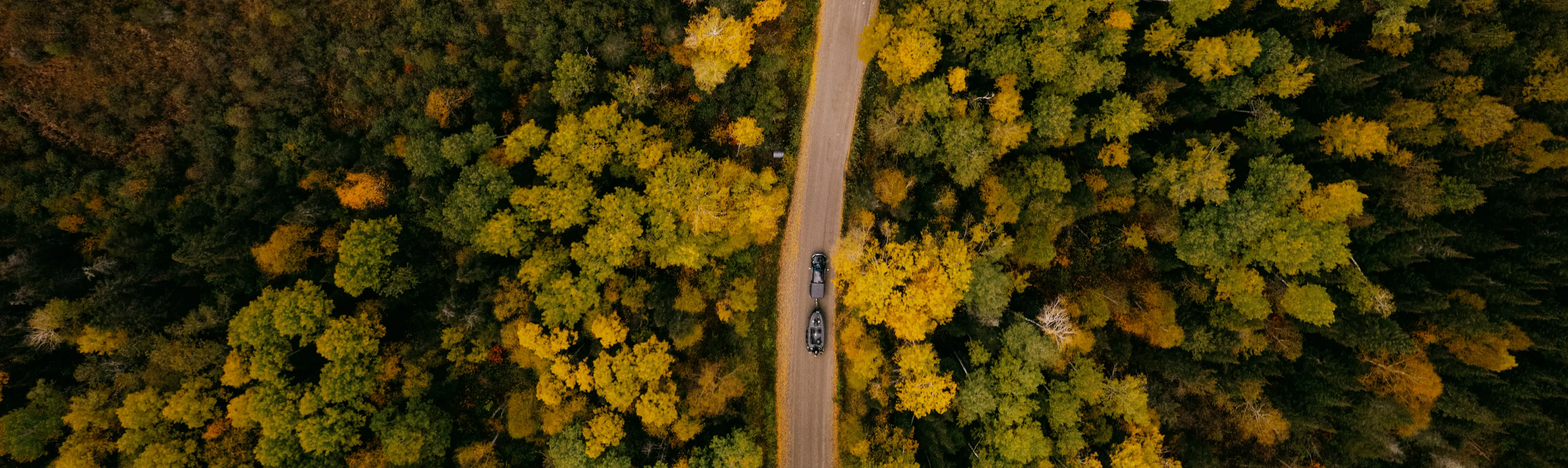 Luftaufnahme einer langen, kurvenreichen Straße, die von üppigen, gelblichen Bäumen umgeben ist.