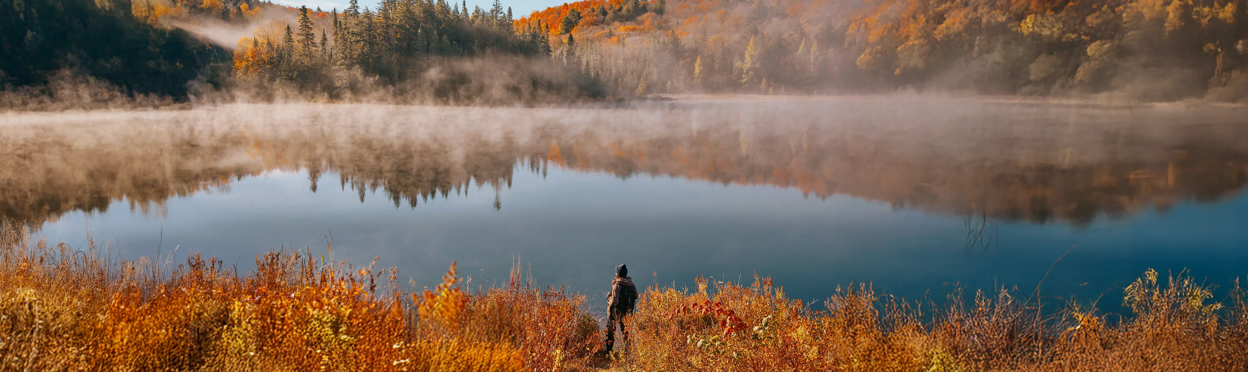 A person standing in an opening of orange shrubs and trees, overlooking a still, misty lake and autumn forestry. 