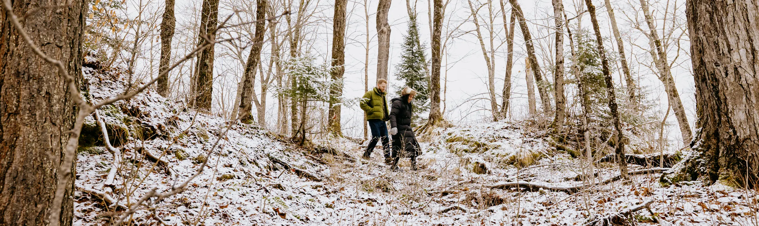 Deux personnes marchent dans une forêt légèrement saupoudrée de neige.