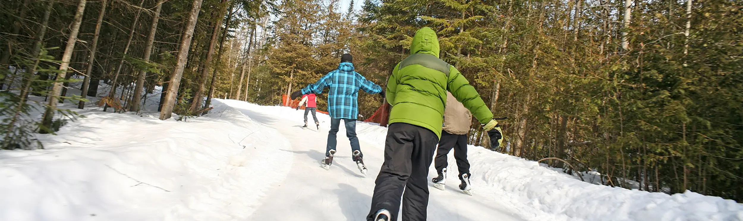 화창한 겨울날, 숲 속 눈 덮인 오솔길에서 사람들이 스케이트를 타고 있다.