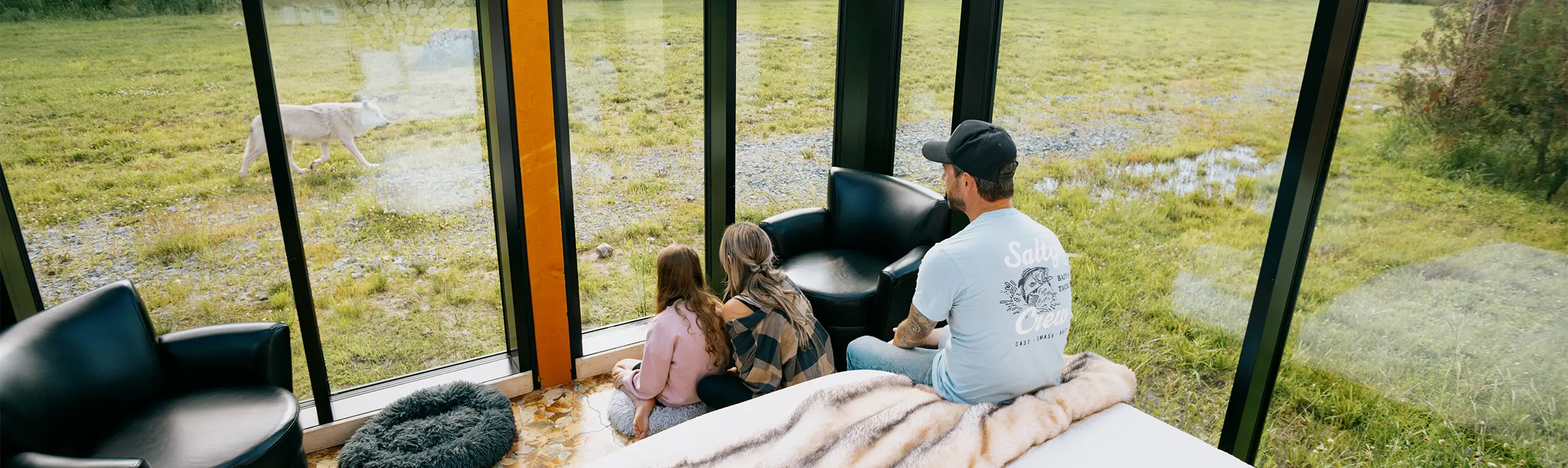 A family sitting inside a glass room watching a wolf outside in a natural setting.