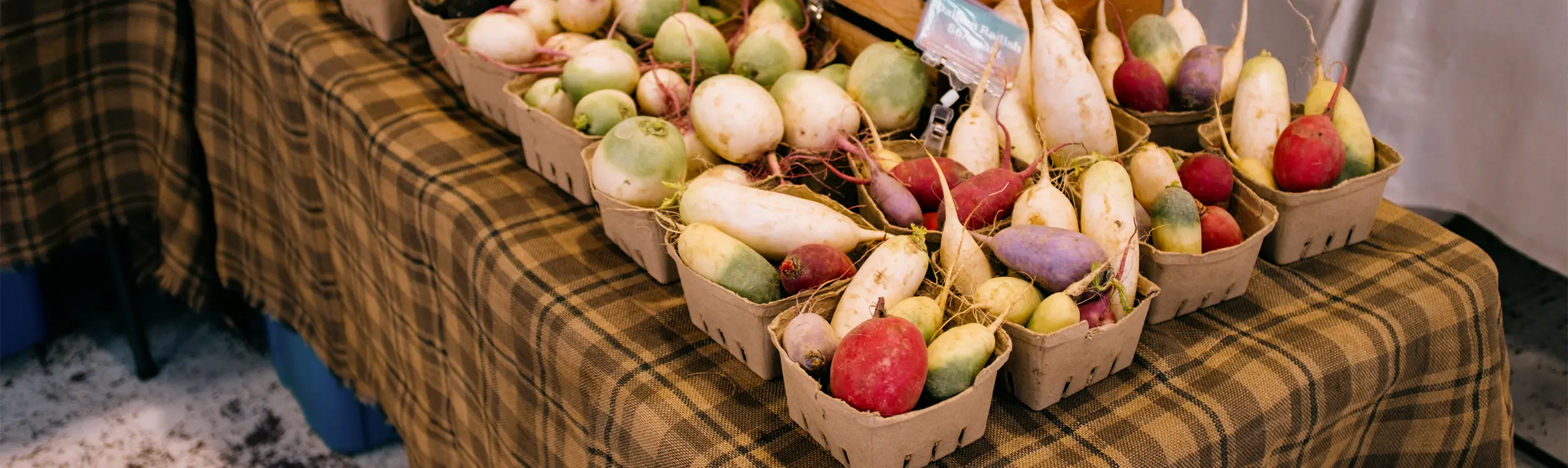 Légumes-racines frais présentés dans des paniers sur un étal de marché fermier en plein air.