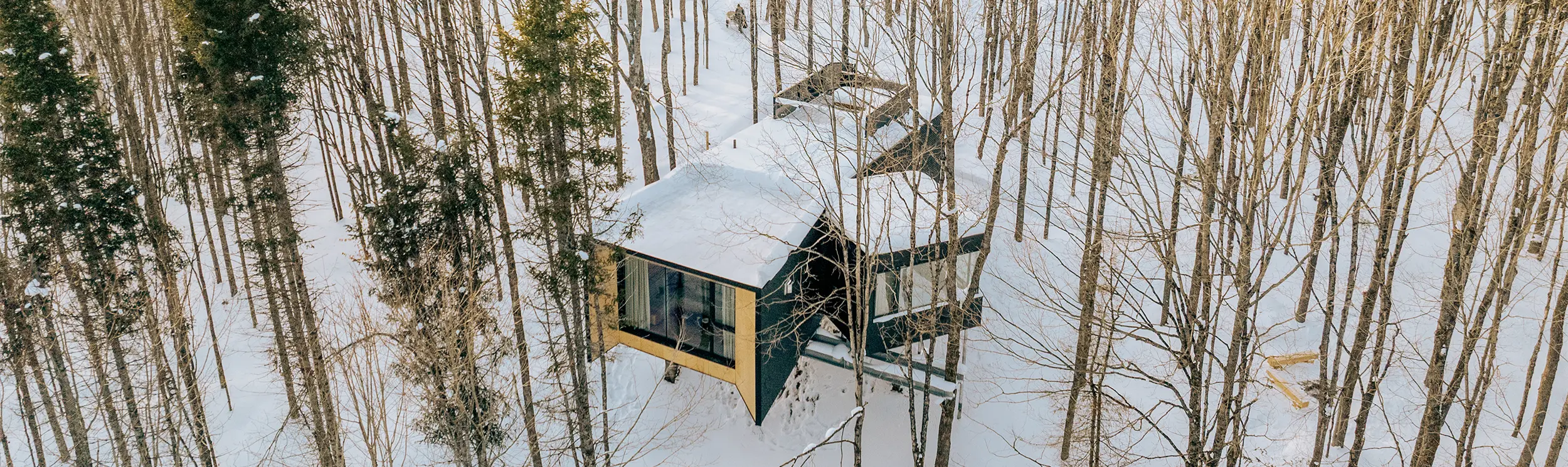 Vue aérienne d’une cabane moderne noire dans une forêt enneigée.