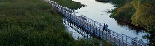 Zwei Personen wandern auf einem Holzsteg durch Marschland.