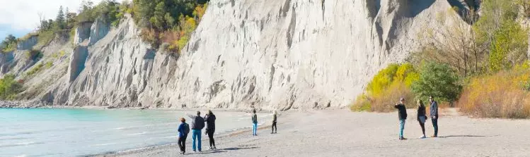 家族連れが散歩したり遊んだりする大きなビーチの背後には、木々に囲まれた大きな崖があります。