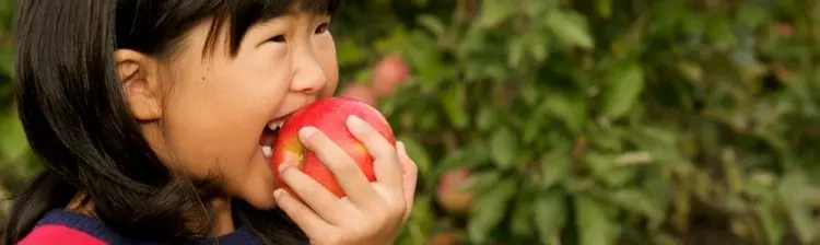 Ein junges Mädchen beißt in einen saftigen, frisch gepflückten Apfel.