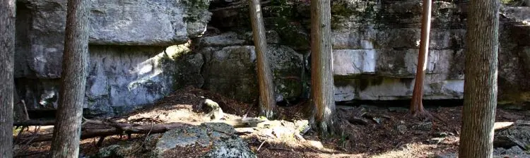 Grandes rocas rodeadas de árboles en un bosque.