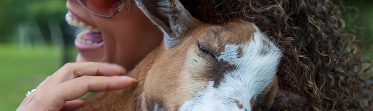A woman snuggles with a young goat.