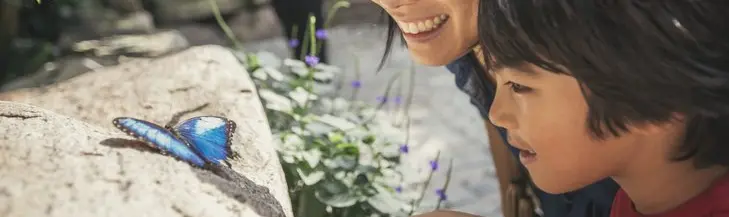 A mother and child admire a butterfly. 