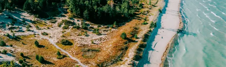 Luftaufnahme der Dünenpfade und der von Bäumen gesäumten Küste des Pinery Provincial Park, die an einem sonnigen Tag auf das türkisfarbene Wasser des Lake Huron treffen.